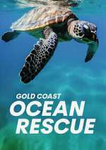 Watch Gold Coast Ocean Rescue Wootly