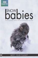 Watch Snow Babies Wootly