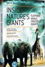 Watch Inside Nature's Giants Wootly