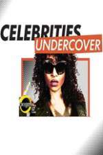 Watch Celebrities Undercover Wootly