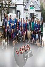 Watch Vets 24/7 Wootly