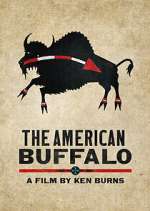 Watch The American Buffalo Wootly