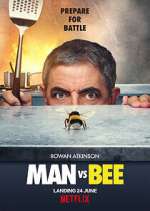 Watch Man Vs Bee Wootly