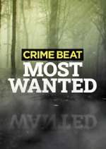 Watch Crime Beat: Most Wanted Wootly