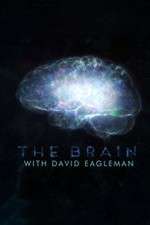 Watch The Brain with Dr David Eagleman Wootly