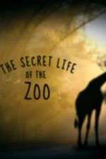 Watch The Secret Life of the Zoo Wootly
