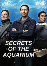 Watch Secrets of the Aquarium Wootly