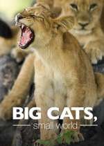 Watch Big Cats, Small World Wootly