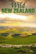 Watch Wild New Zealand Wootly